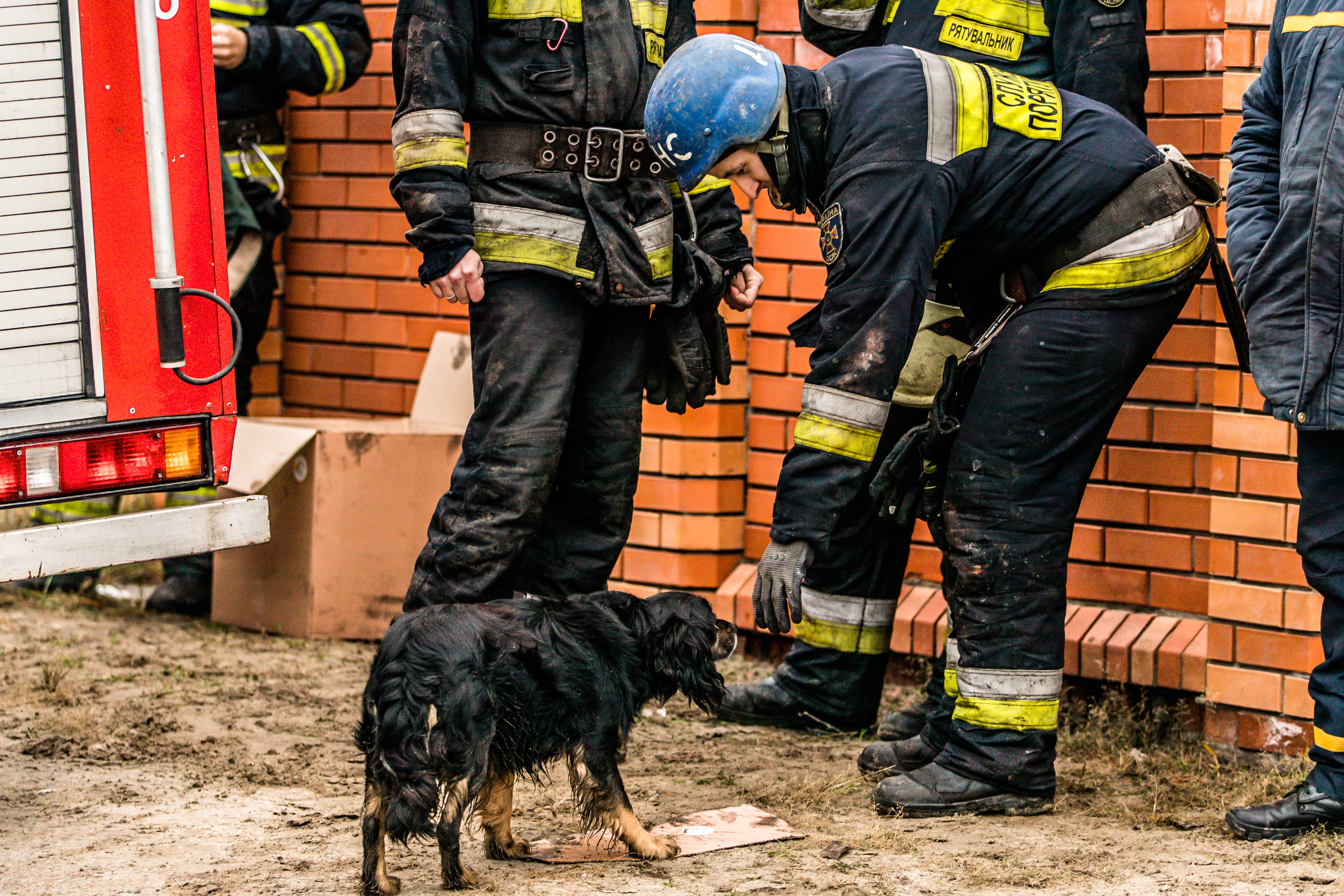 І попри всі випробування українці залишилися людьми – щирими, небайдужими та вільними