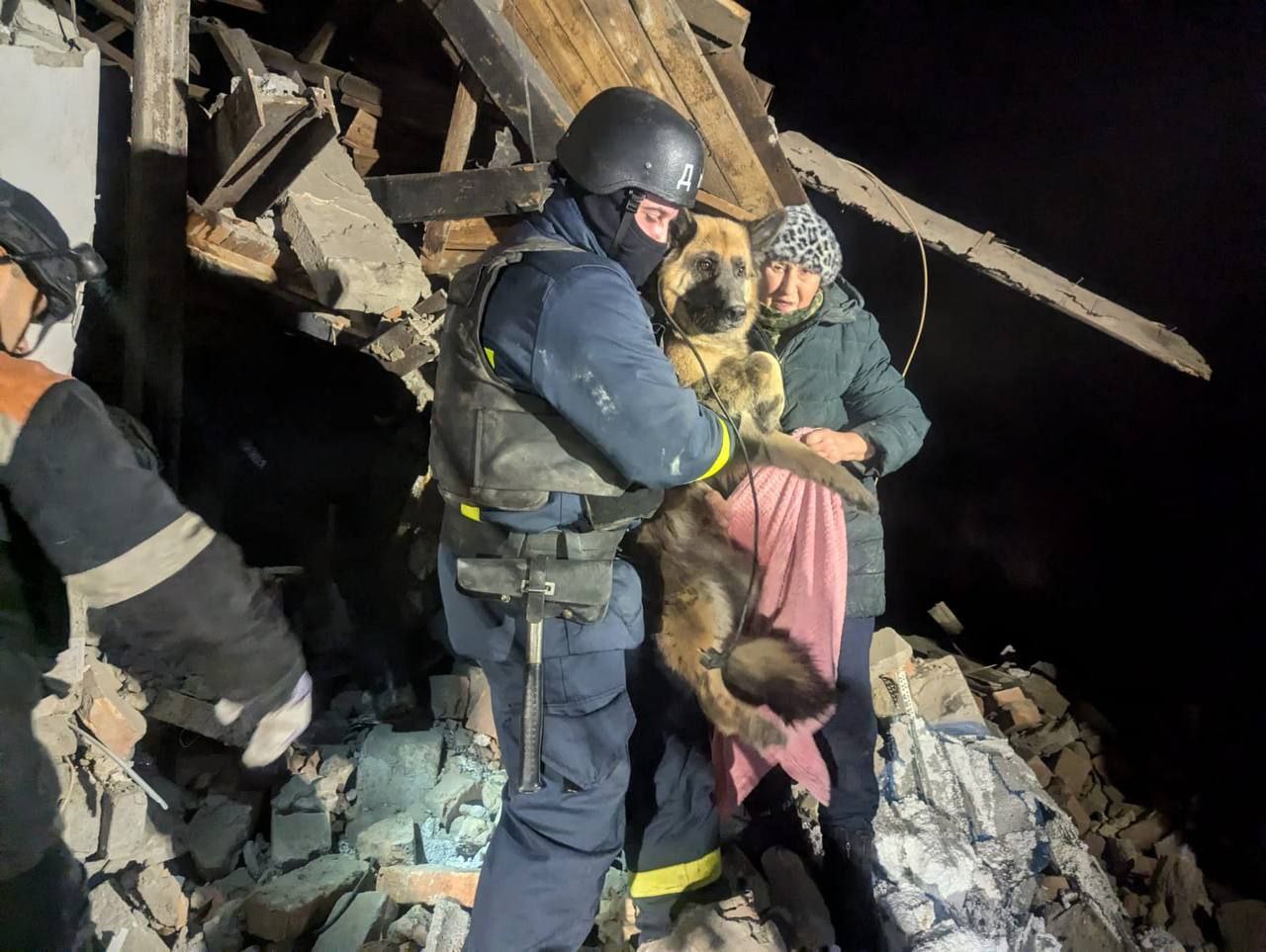 Надзвичайники рятують з потрощеного будинку собаку