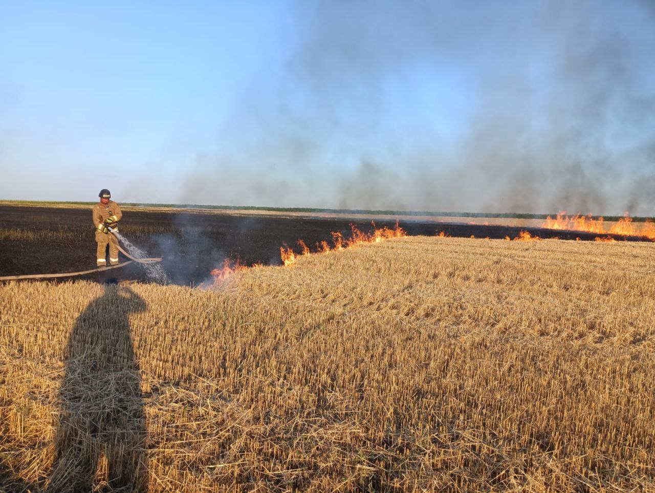 На Нікополі загорілося пшеничне поле