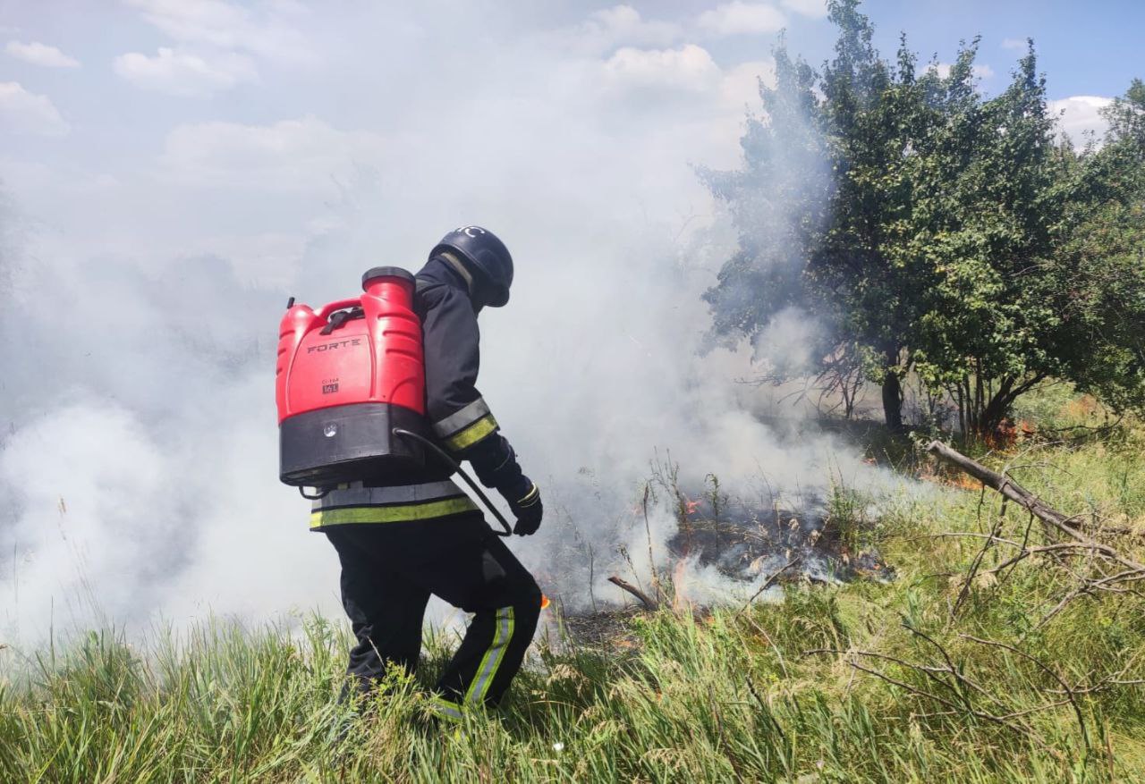 Вогнеборець ліквідовує пожежу сухої трави