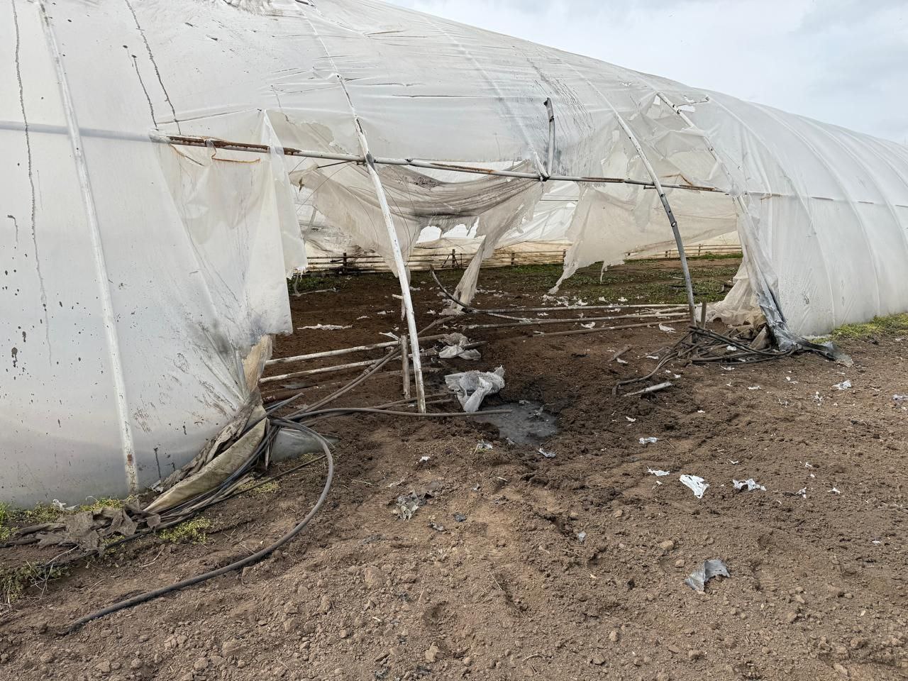 Понівечена теплиця у Нікопольському районі