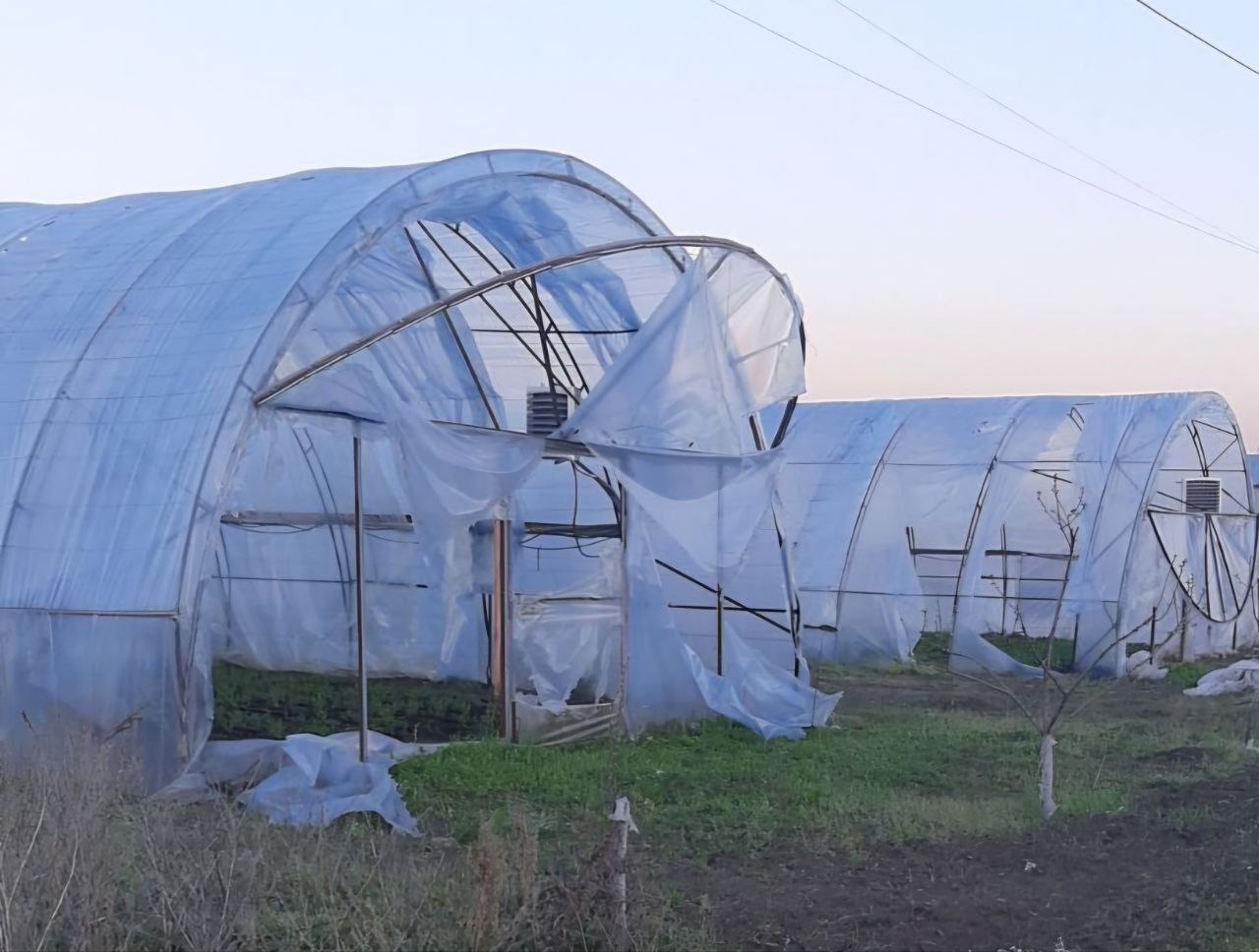 Понівечені теплиці