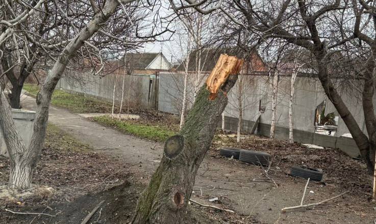 Потрощений паркан