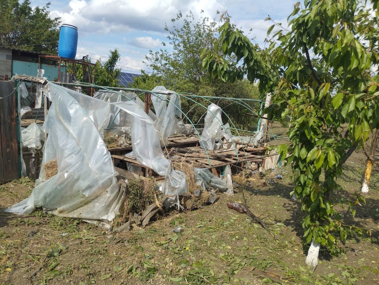 Потрощений парник